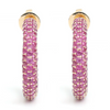 PINK SAPPHIRE FROOT LOOP HOOPS